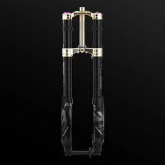 RFloXa Hawk31 Max (Gold)