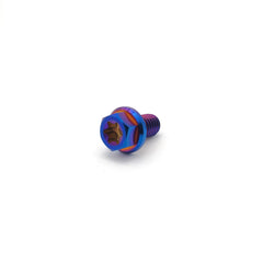 Titanium M6 Bolts (Collective)