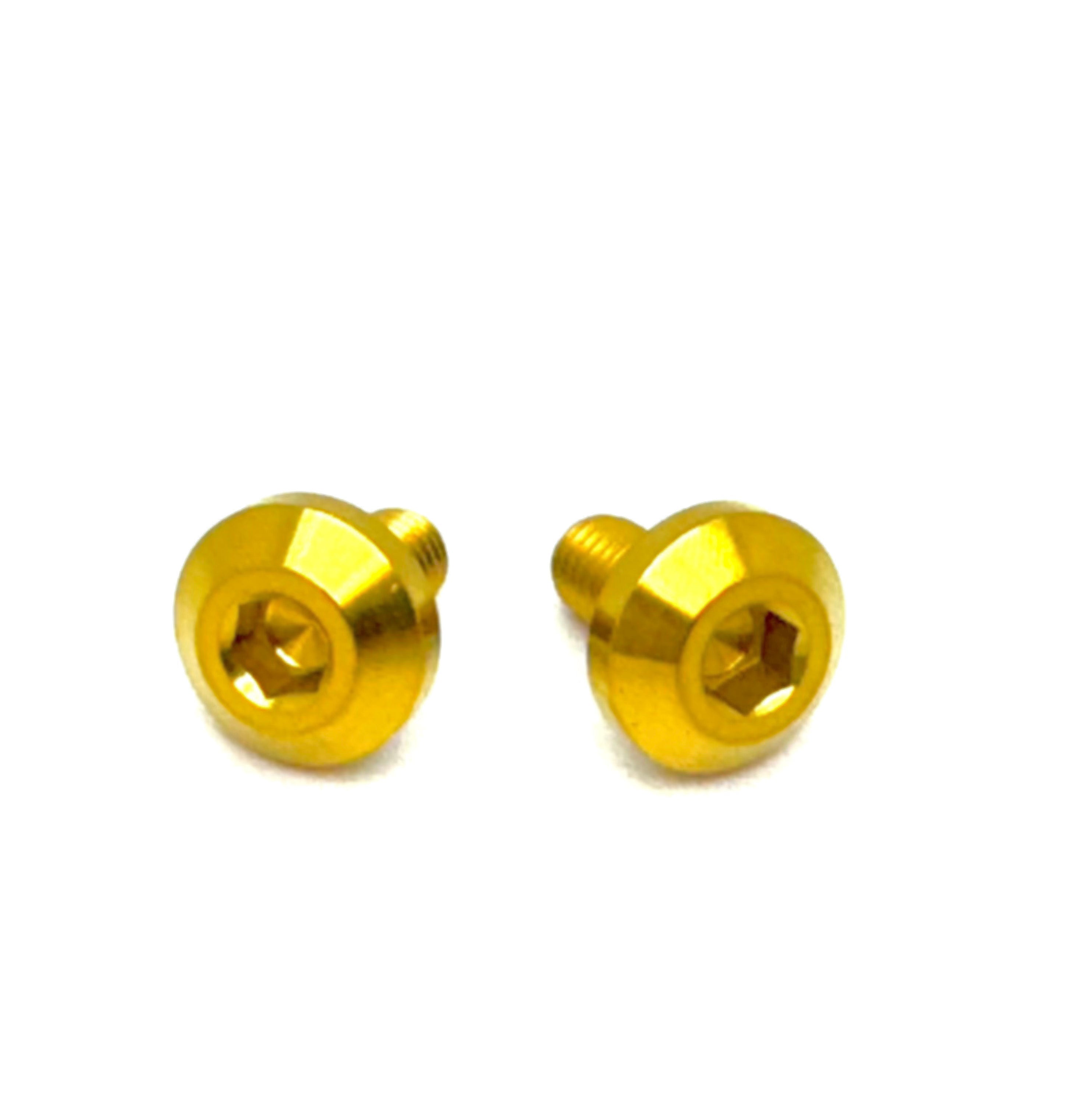 Titanium Chain Guard Bolts (Set of Two) Surron, Segway, Rerode
