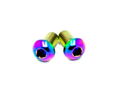 Titanium M6 Ignition Cover Bolts (Set of Two) Surron, Segway, Similar E-moto