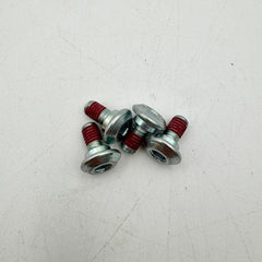 M6X10-FA Kawi Rotor Bolt