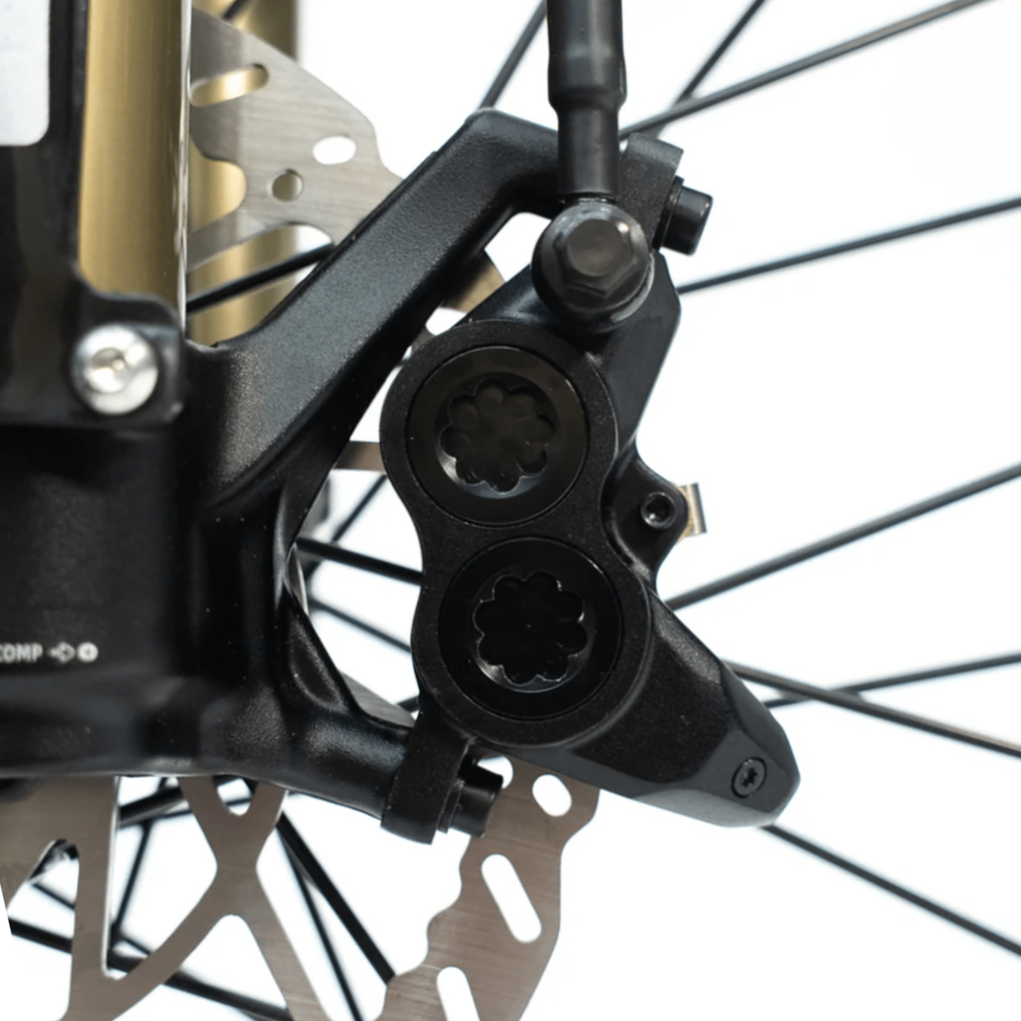 Arctic Leopard XE PRO S