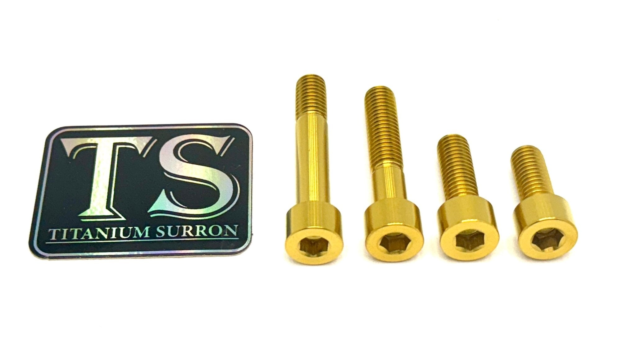 Titanium Motor Bolts - E-Ride Pro (all models)