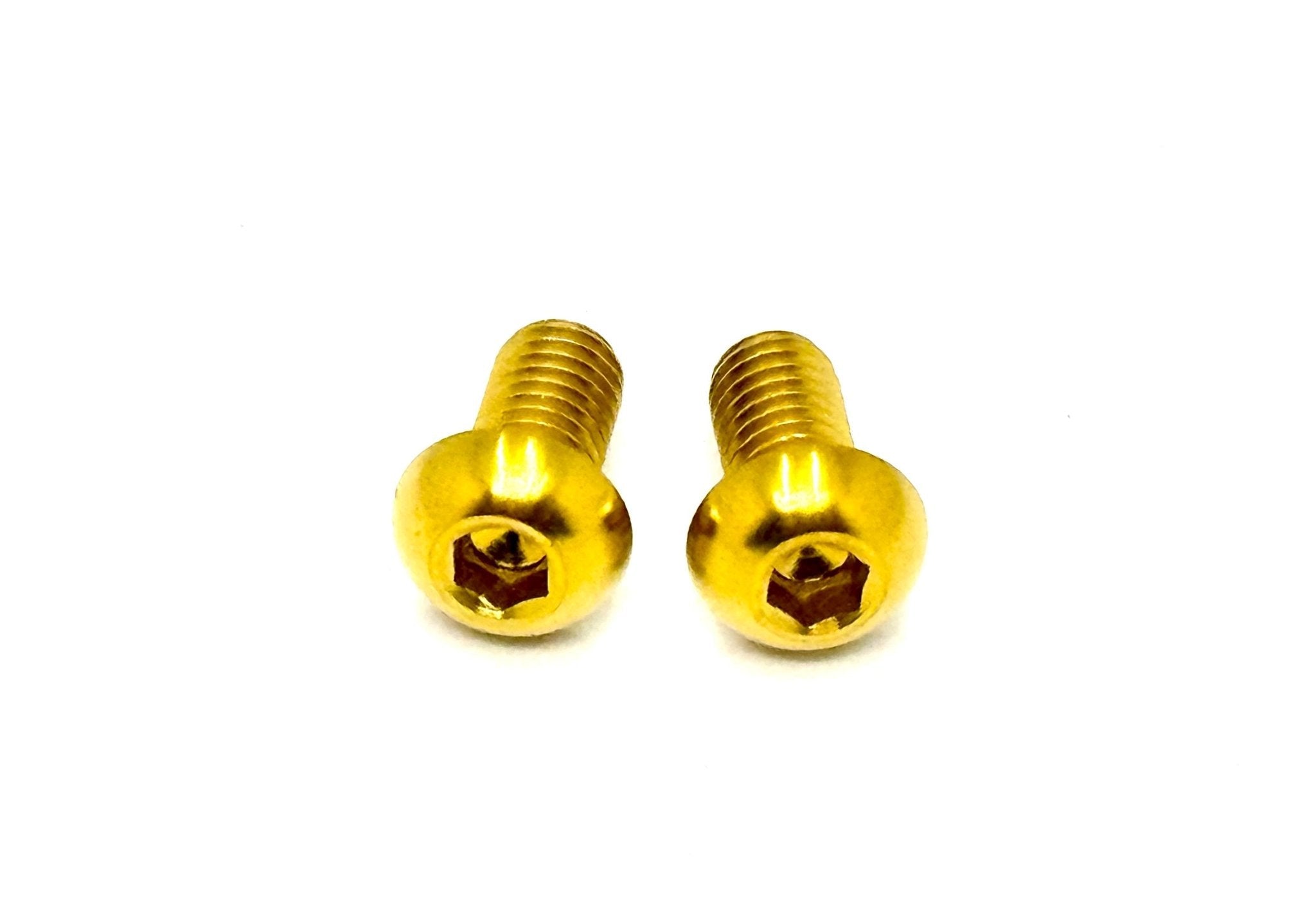 Titanium Motor Cover Bolts (Set of Two) Surron LBX and Light E-moto