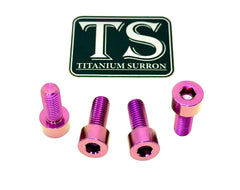 Titanium Peg Bracket Bolts - E-moto
