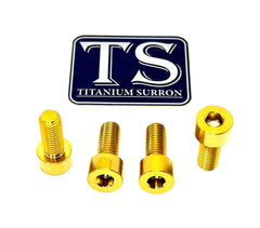 Titanium Peg Bracket Bolts - E-moto