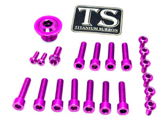 Titanium Surron Ultra Bee OEM Fork Bolt Kit